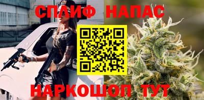 Альфа ПВП Будённовск