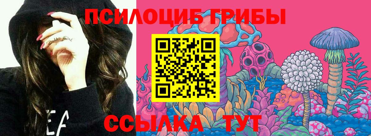 Галлюциногенные грибы Cubensis  Галлюциногенные грибы мухоморы  Петрозаводск  Вход с VPN 